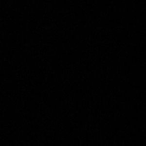 Meet your Posher, Mickey